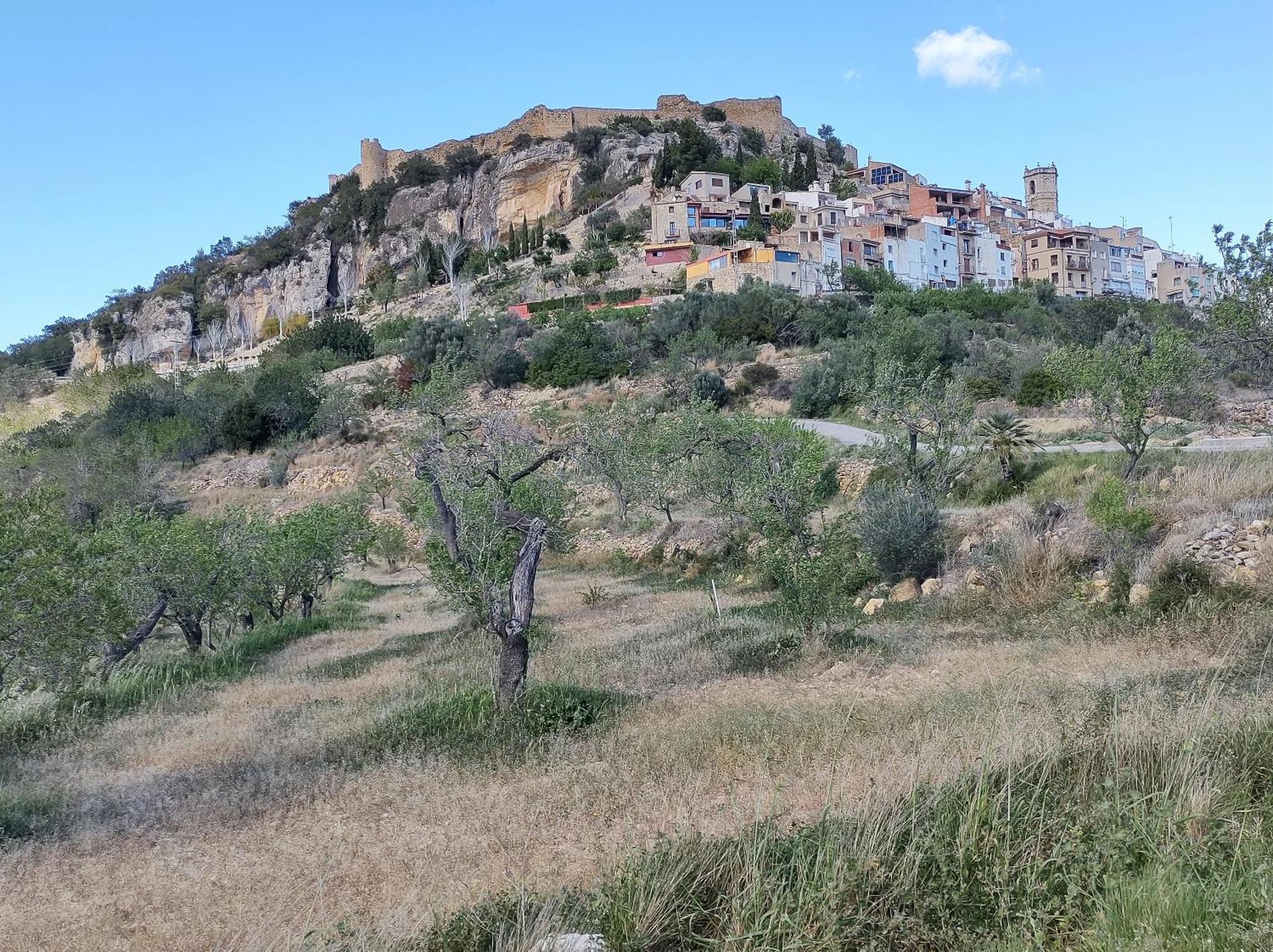Tranquil And Spacious Townhouse In Historical And Picturesque Cervera Del Maestre المظهر الخارجي الصورة
